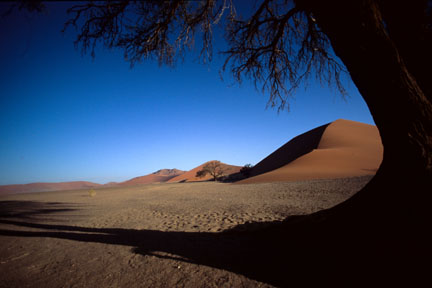A l'ombre de la dune 45